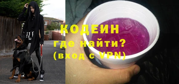 индика Киренск