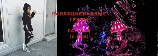 spice Кинешма