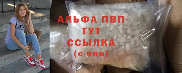 spice Кинешма