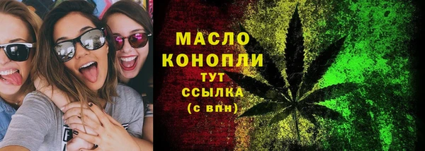 индика Киренск