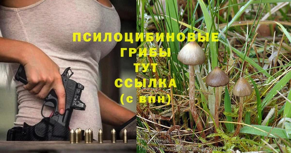 индика Киренск