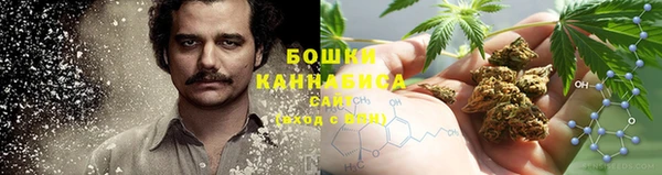 индика Касимов